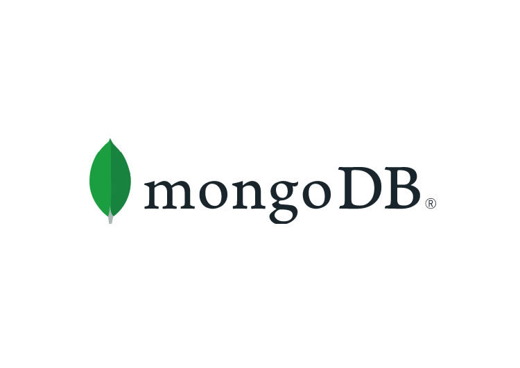 MongoDb insert()