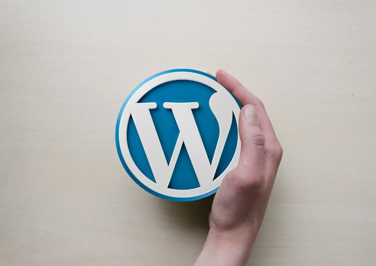 WordPress Web Sitesi Yapmak İçin Adım Adım Kılavuz