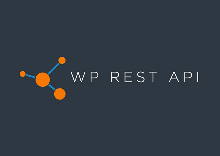 WordPress REST API’sine Giriş